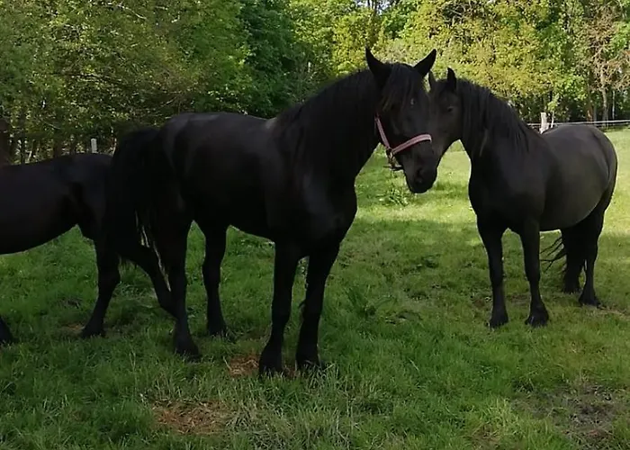 Am Halbmond דירה